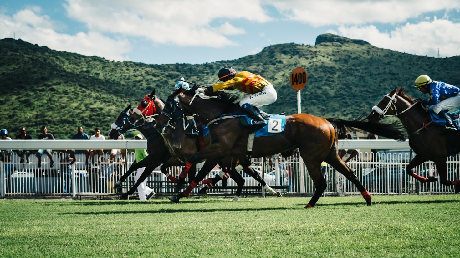 The Evolution of Horse Racing: A Historical Overview