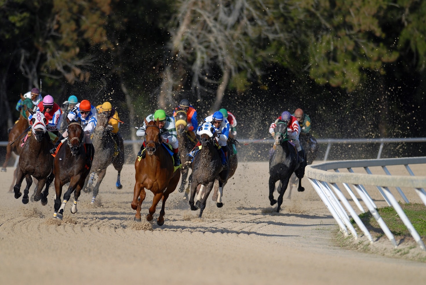A Beginner’s Guide to Horse Race Handicapping