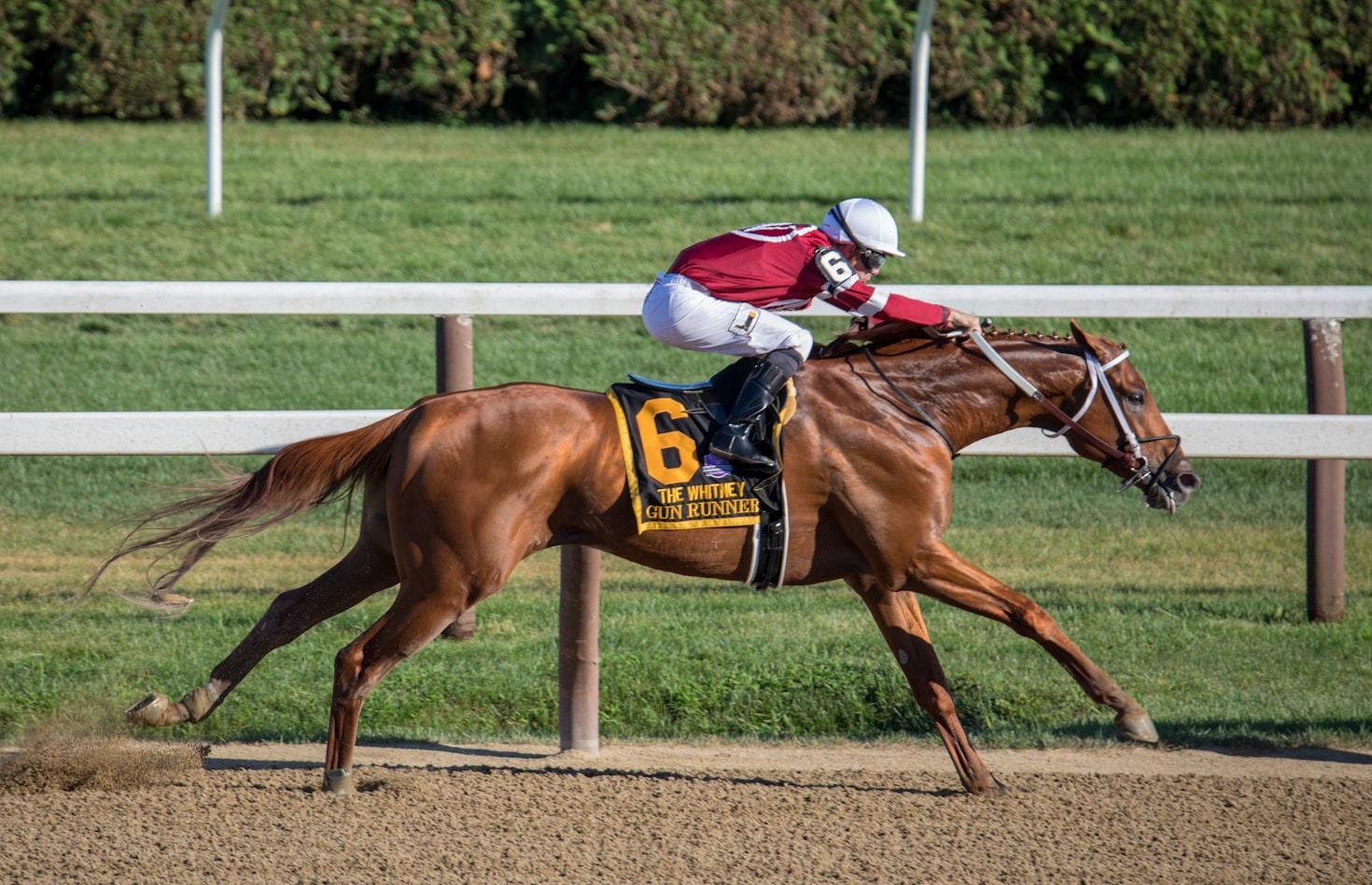 Betting 101: Making Smart Wagers on Exacta and Pick 6
