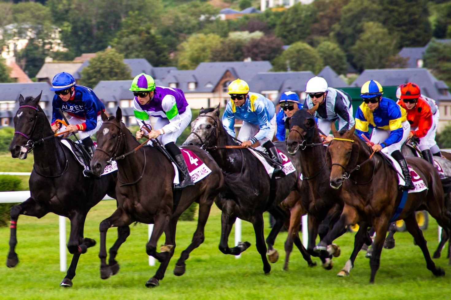 How to Watch Horse Races Online: A Step-by-Step Guide